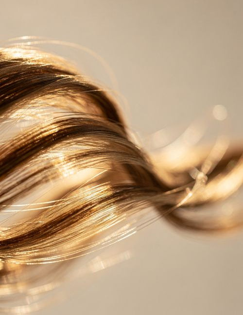 Welcome to Your New Hair