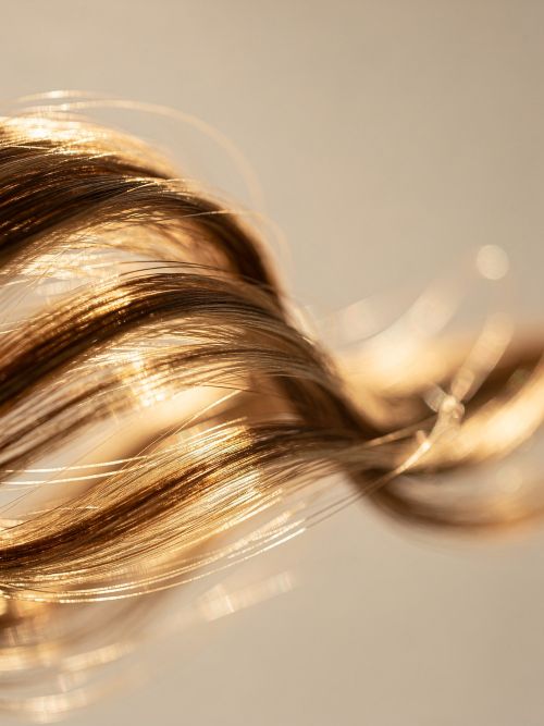 Welcome to Your New Hair