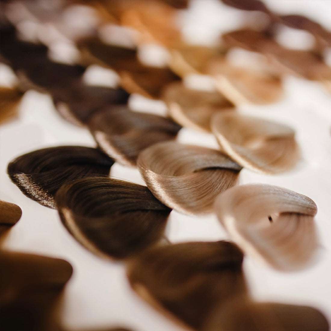 Color Services - Processed